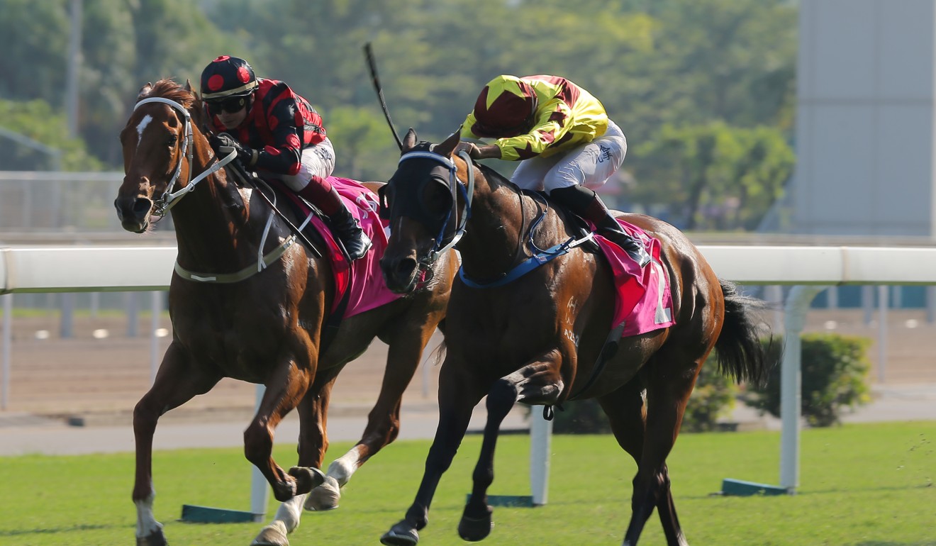 Alberto Sanna punches out Southern Legend to win at Sha Tin on Sunday.