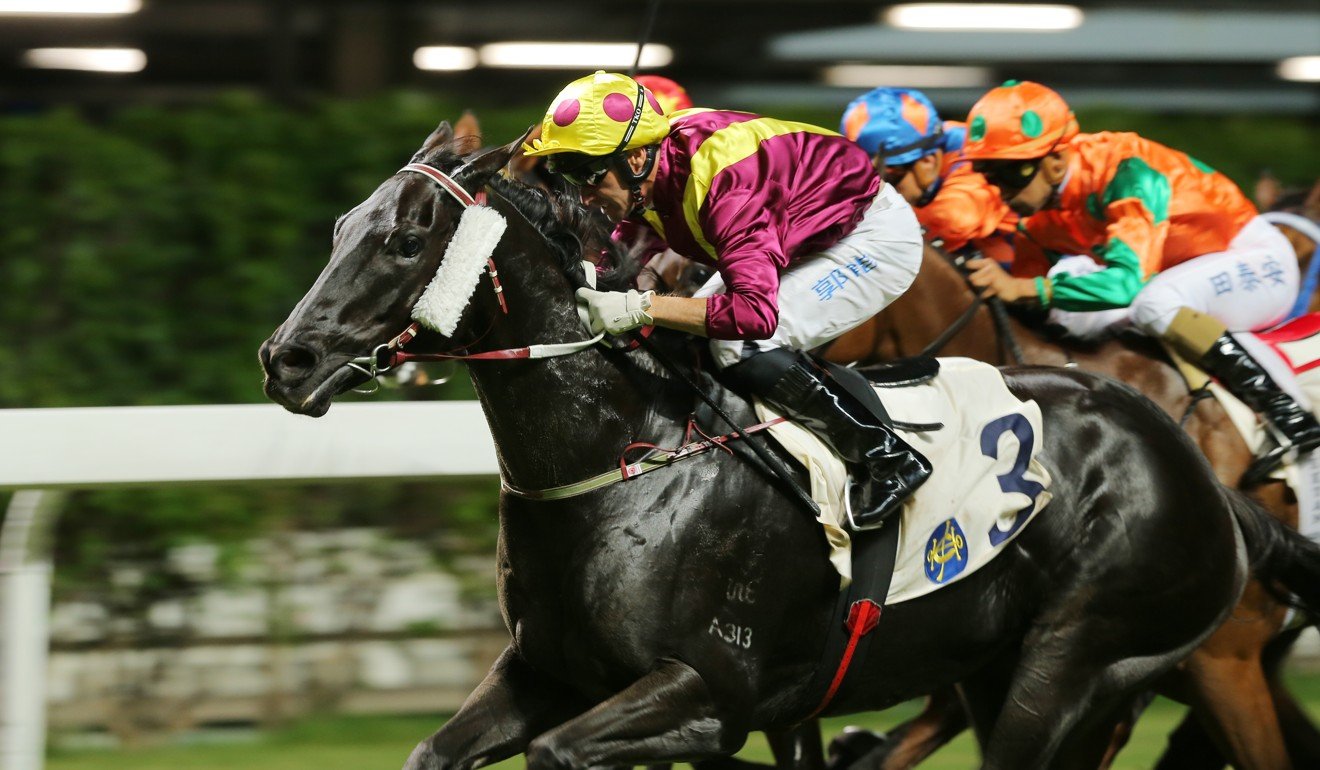 Neil Callan rides Happy Warrior to victory at Happy Valley.