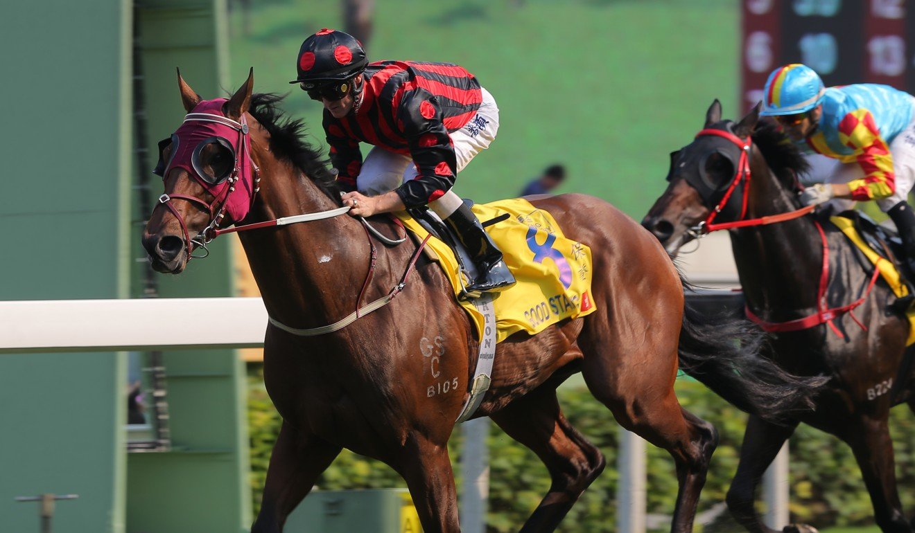 Good Standing wins at Sha Tin last season.