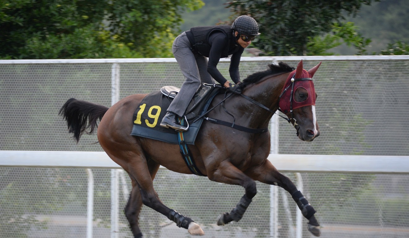 Buddies gallops on the Sha Tin turf under Grant van Niekerk.