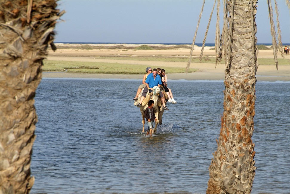 Tourists ride a camel in the water off Yati Beach, in Djerba, Tunisia. Photo: Alamy
