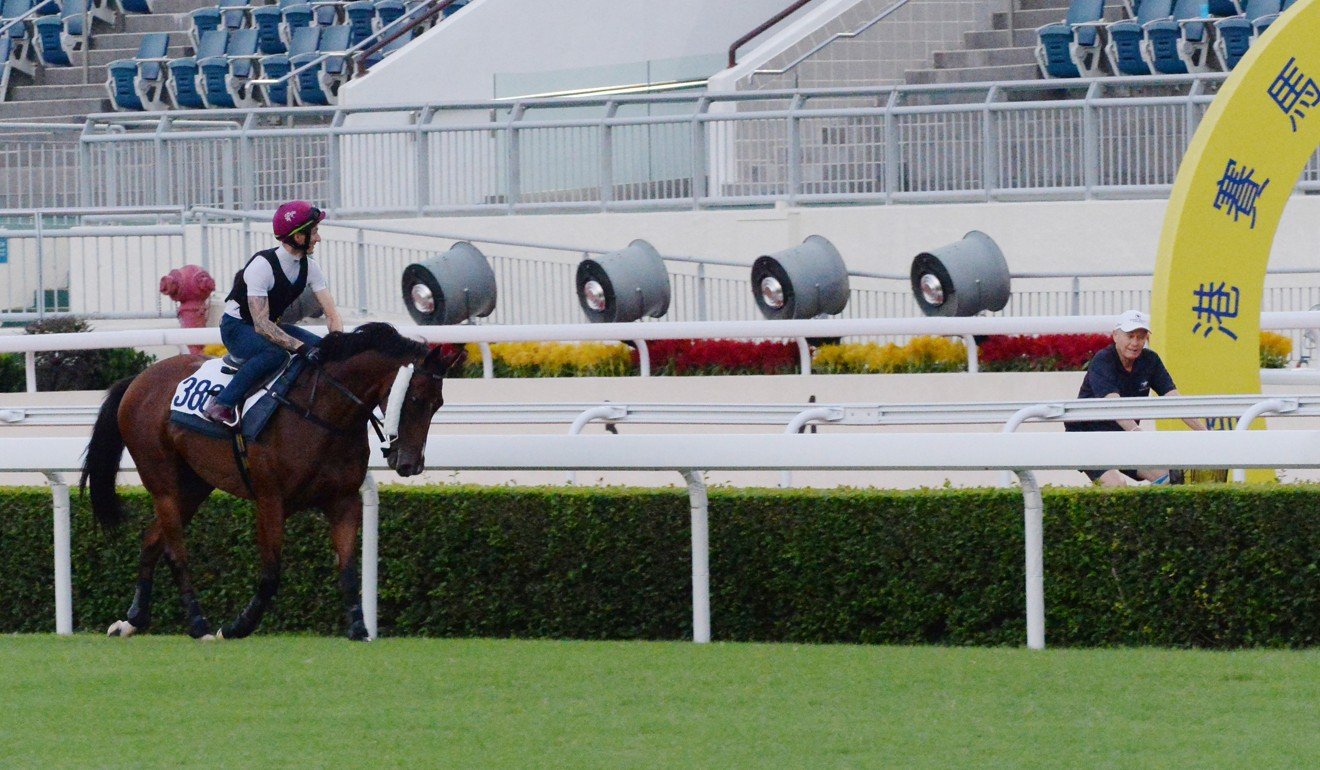 Trainer John Moore looks over Beauty Generation after galloping at Sha Tin.