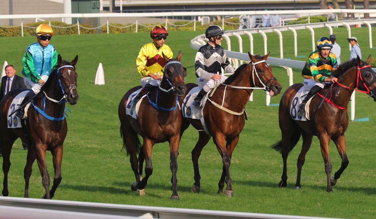 Exultant (second from right) with placegetters Furore (right) and Southern Legend (second from left).