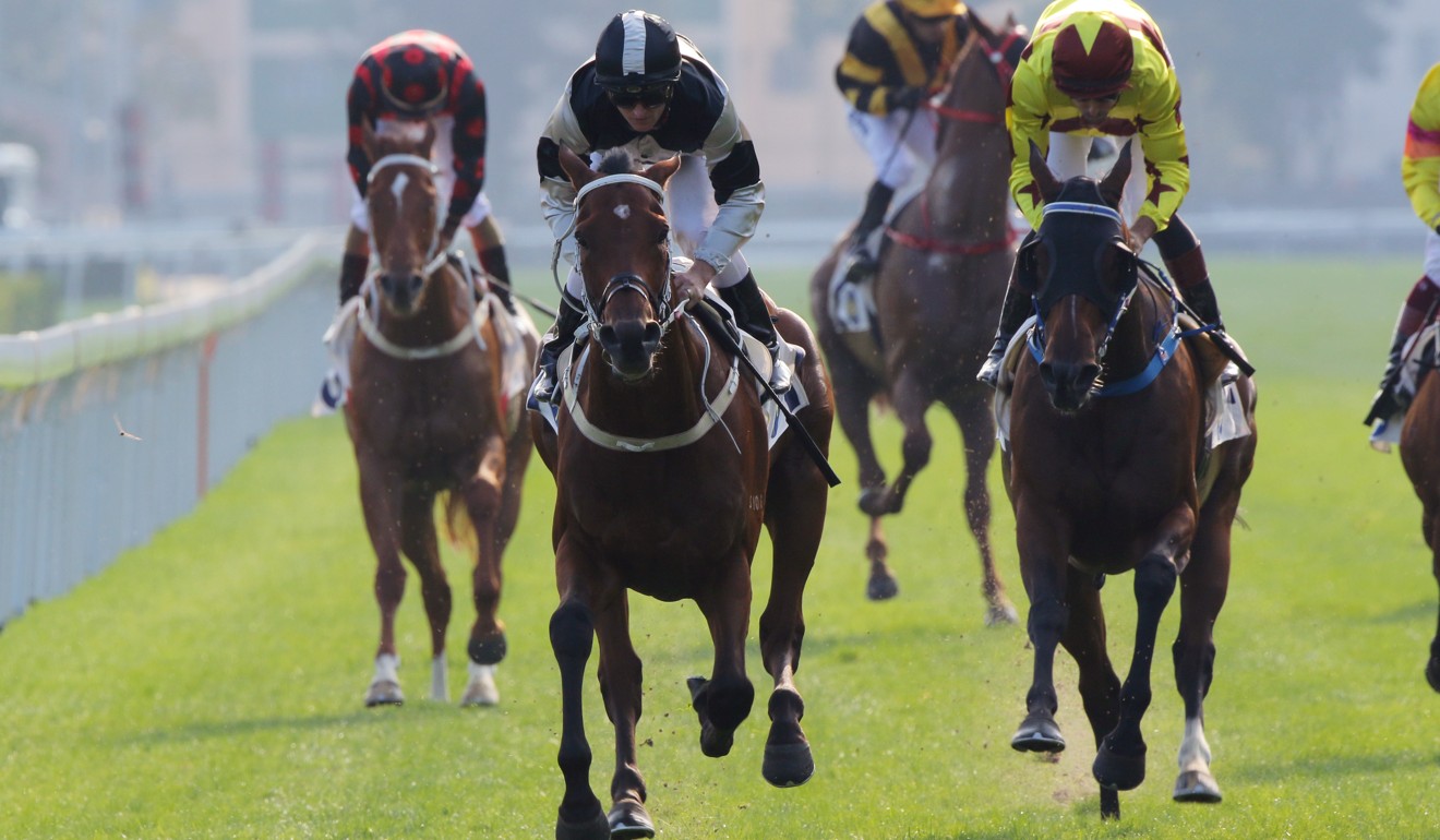 Exultant (centre) beats home Southern Legend (right).