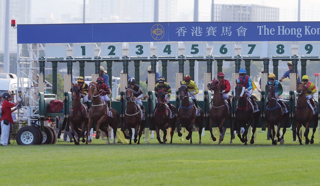 Horses jump from the barriers at Sha Tin on Sunday.