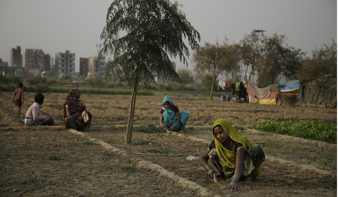 Indian women work at a farm on the outskirts of New Delhi, India. Photo: AP