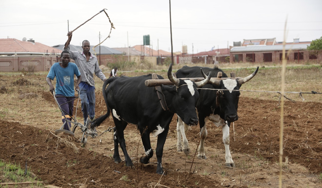 The Chinese embassy says Ncube’s figures did not include donations made by the mission itself to local groups. Photo: EPA-EFE