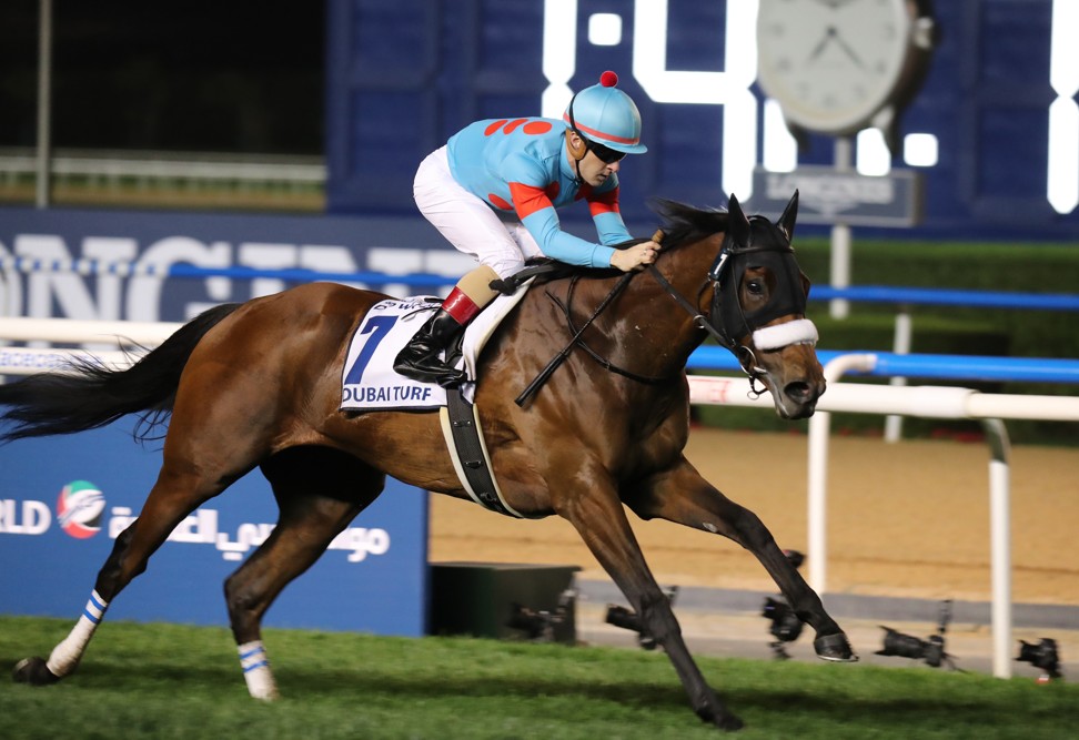 Almond Eye remains on track for the Hong Kong International Races. Photo: Kenneth Chan