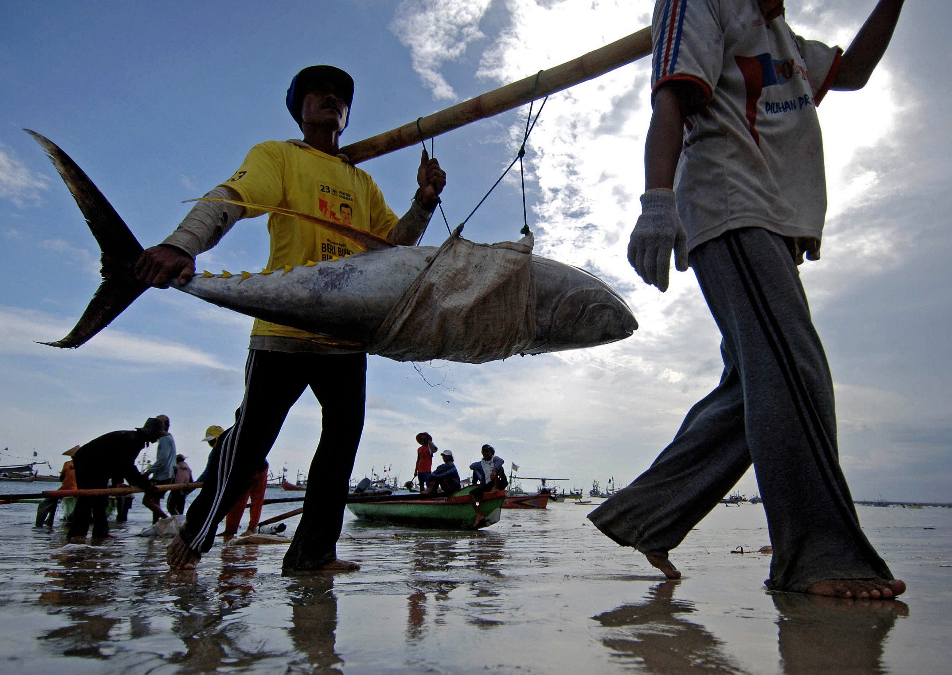 Fishermen unload a fresh catch of tuna in Bali, Indonesia. Photo: AFP