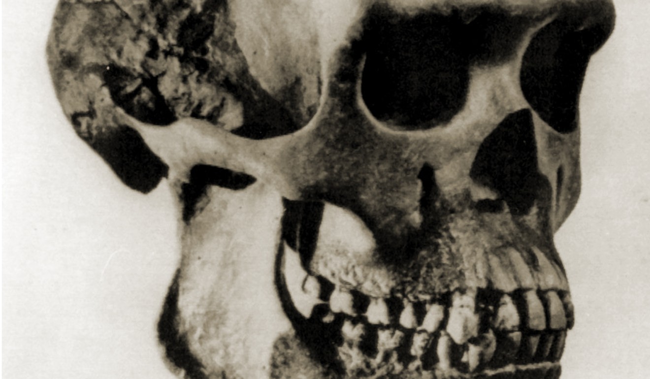 A Chinese report suggests there is little evidence of evolution to be found in Peking Man remains. Photo: UPI