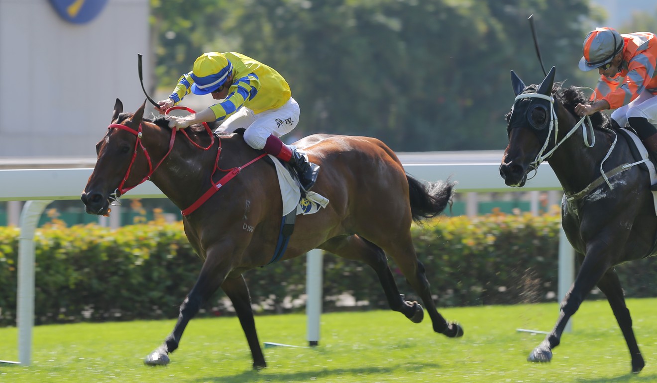 Blake Shinn boots Fantasy home for Danny Shum at Sha Tin.