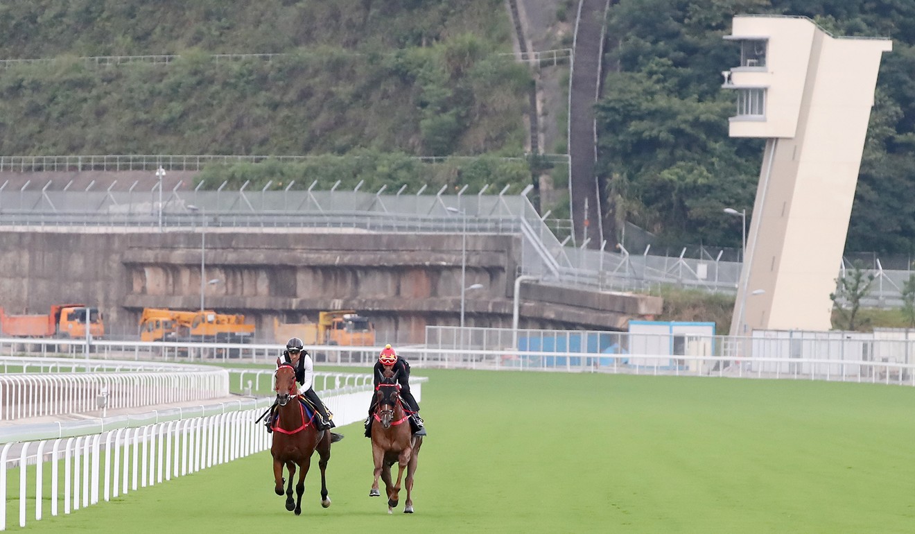 Horses gallop on the Conghua racecourse.