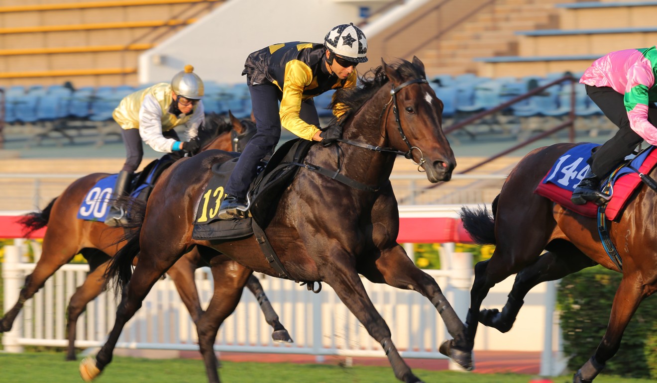 King’s Trooper gallops strongly in a barrier trial last week.