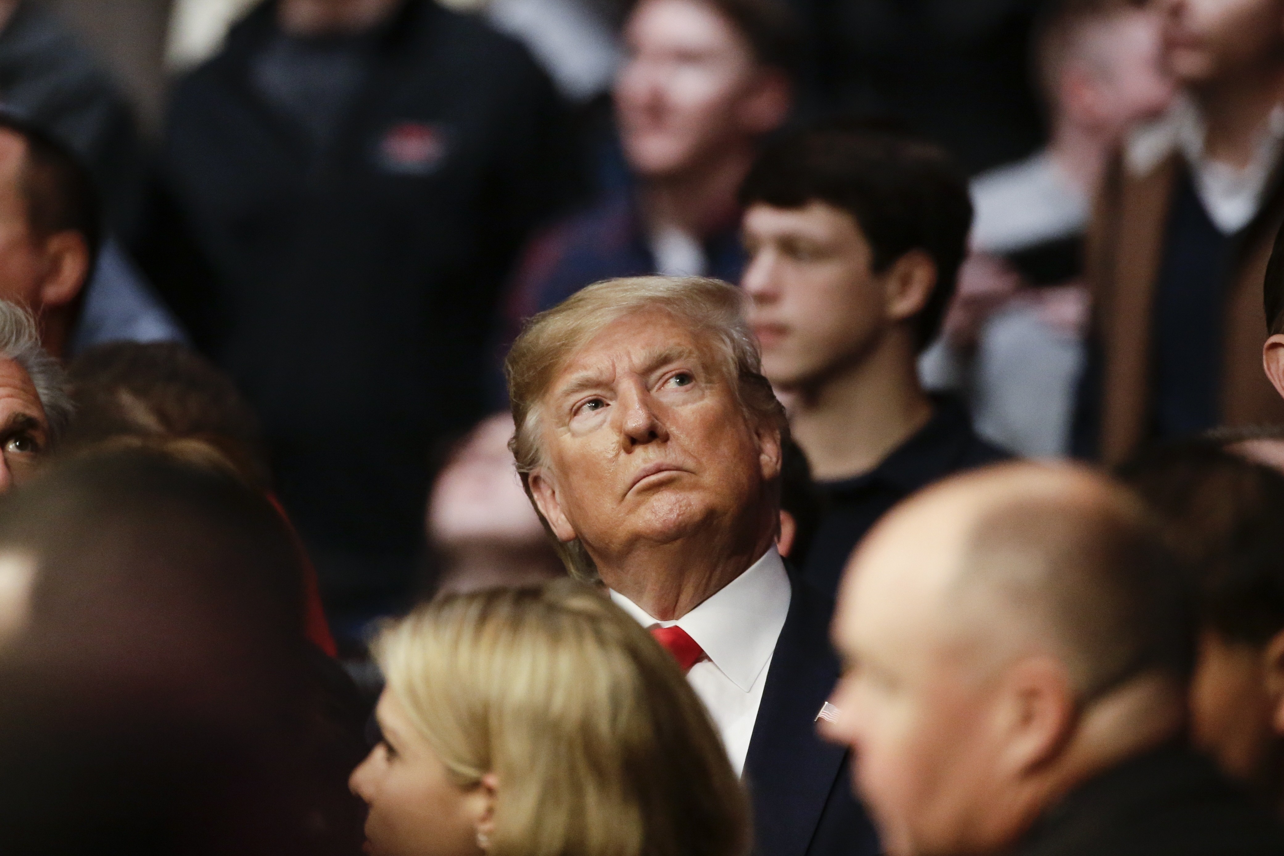 President Donald Trump watches on at UFC 244 at Madison Square Garden. Photo: AP