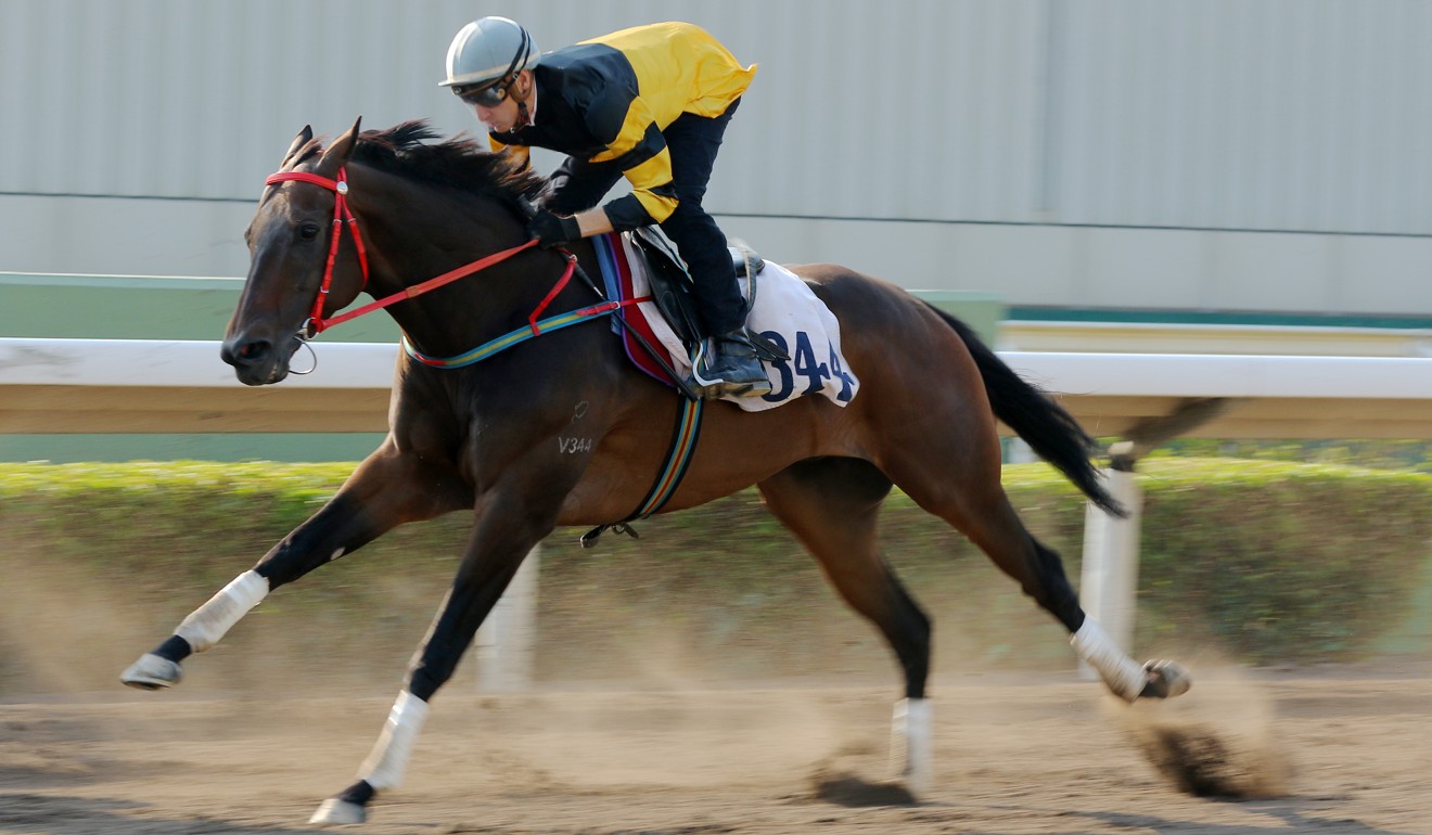 D B Pin trials at Sha Tin.