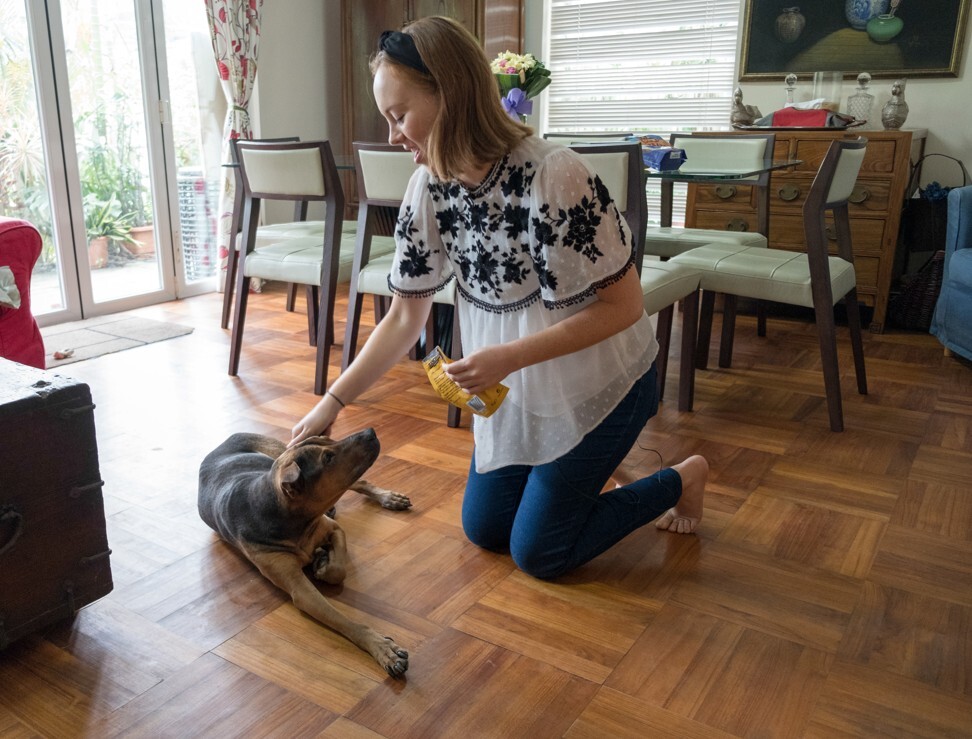How has Hong Kong’s notorious serial pet killer – the Bowen Road dog ...