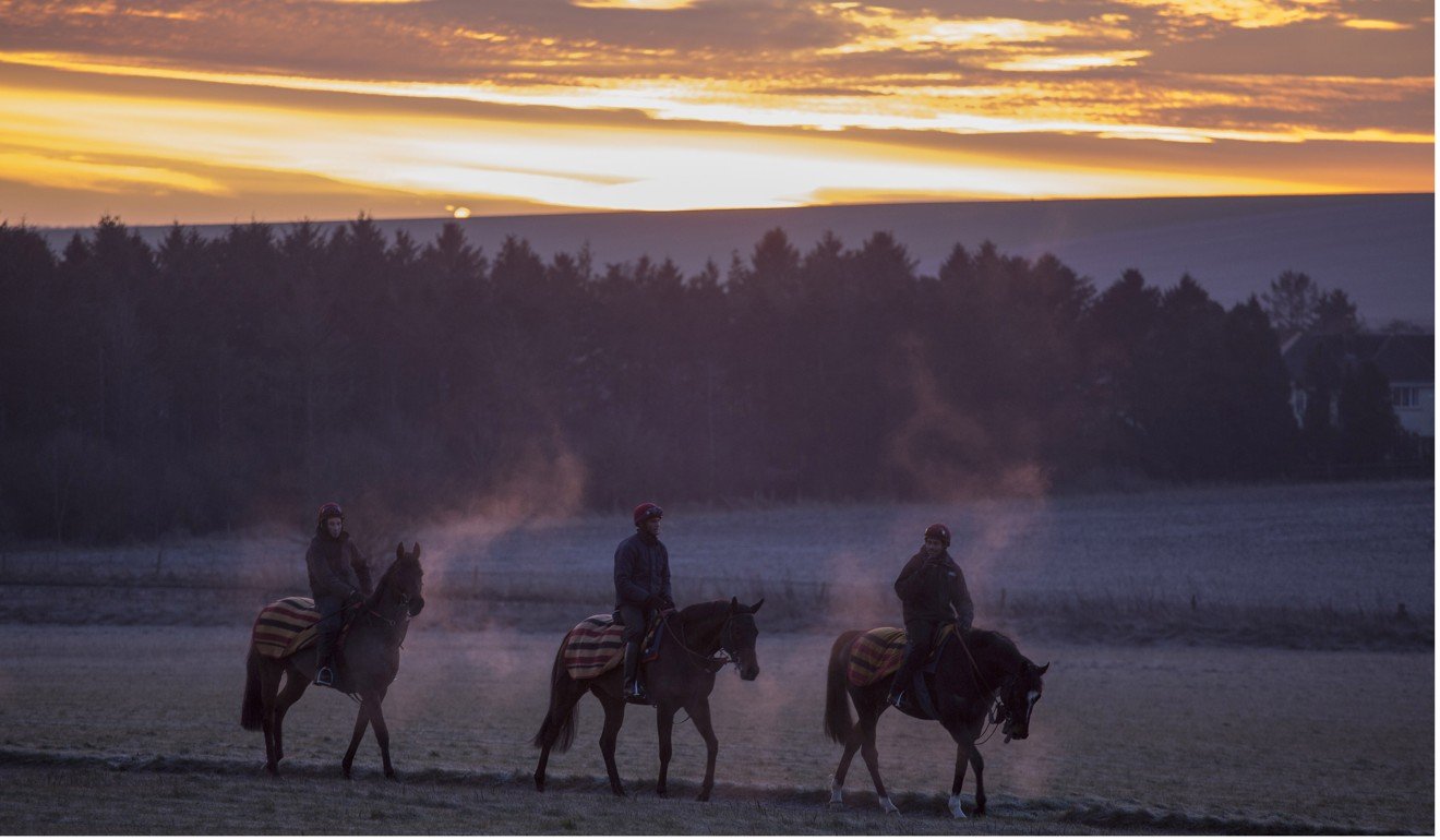 Racehorses trained by Roger Charlton head out in the frost of Beckhampton for early morning exercise at the end of one of the coldest nights of the year. Photo: Racingfotos.com