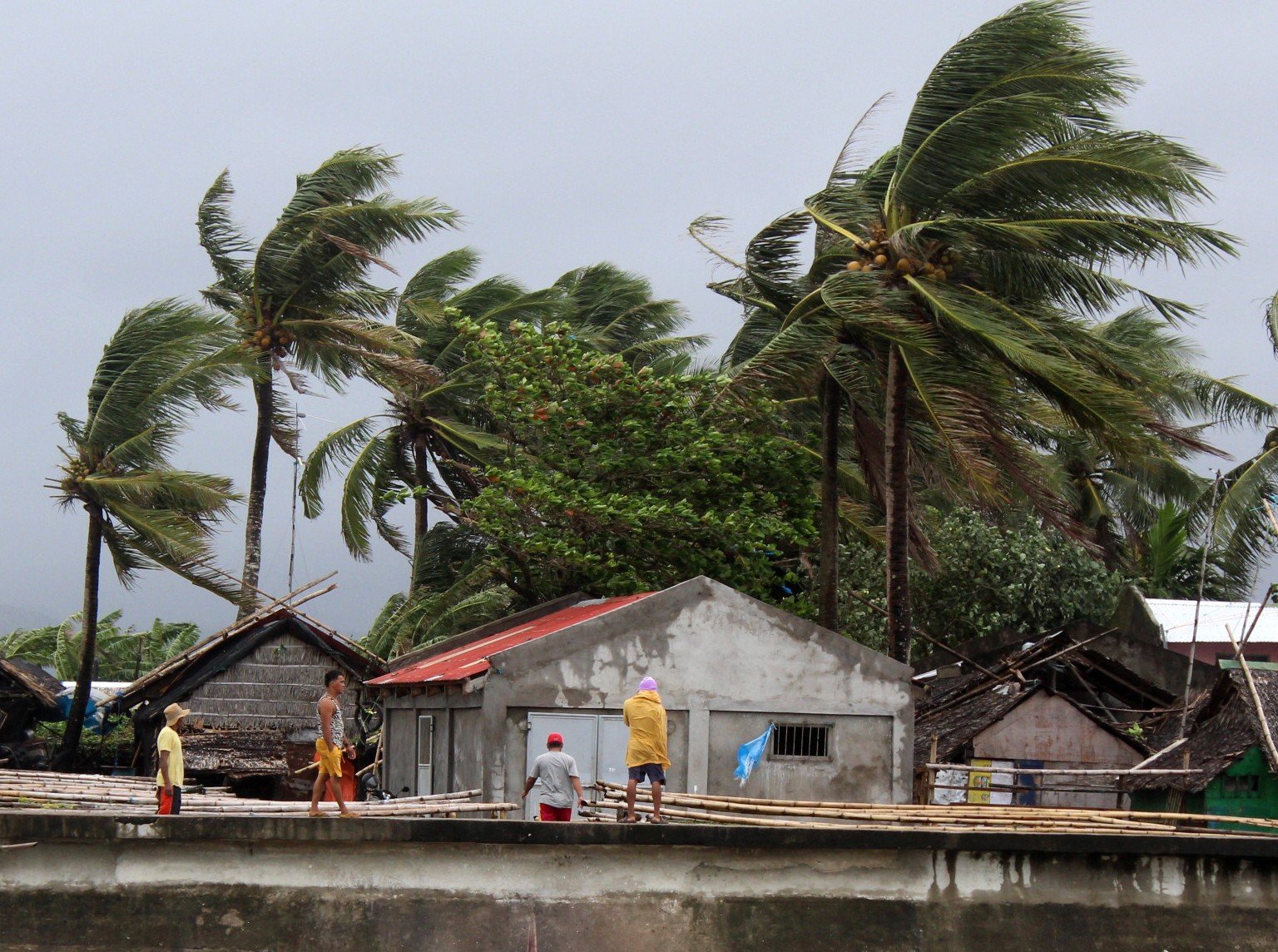 Villagers look on as strong winds blow trees next to houses in the town of Calabanga, Camarines sur province, Philippines, ahead of Typhoon Kammuri. Photo: EPA-EFE