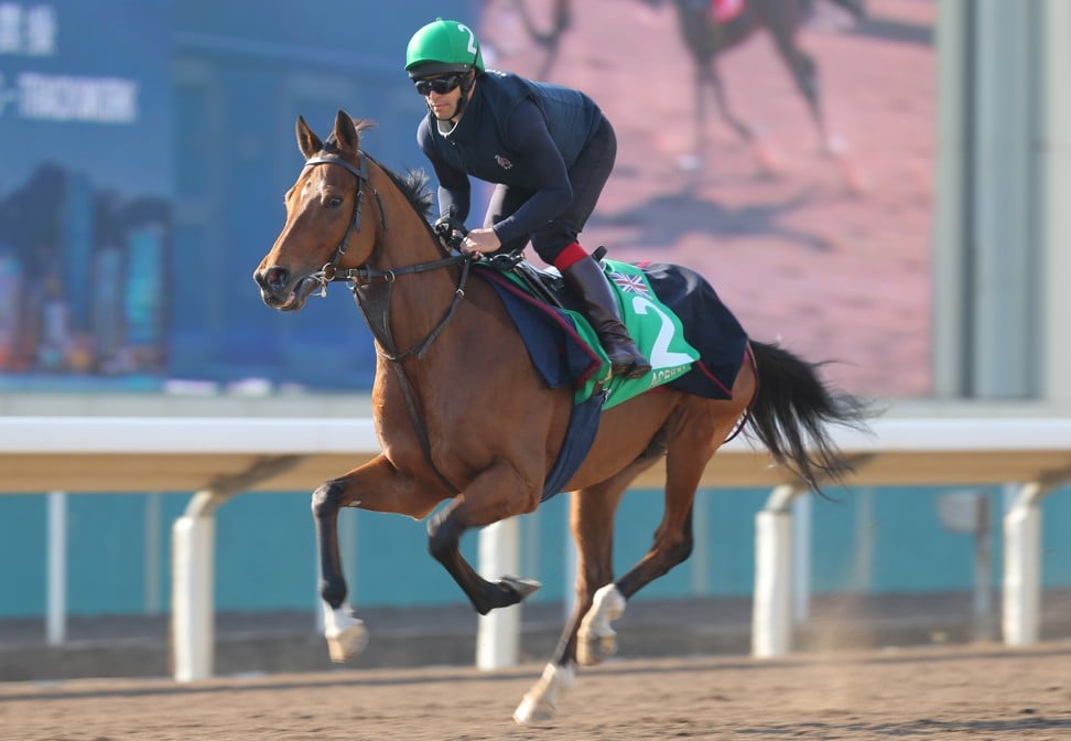 Aspetar works at Sha Tin this week. Photo: Kenneth Chan