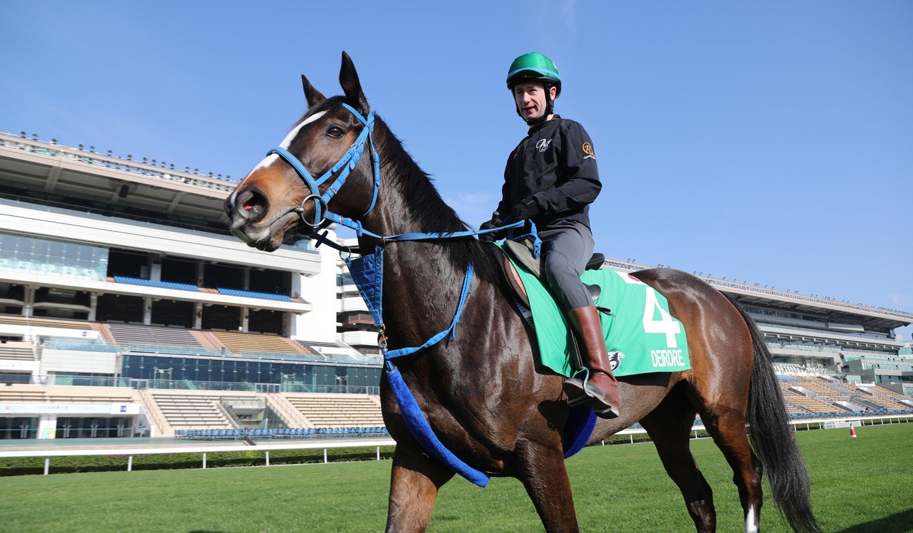 Oisin Murphy S Mad Schedule A Breeze American Tv Presenter Adds