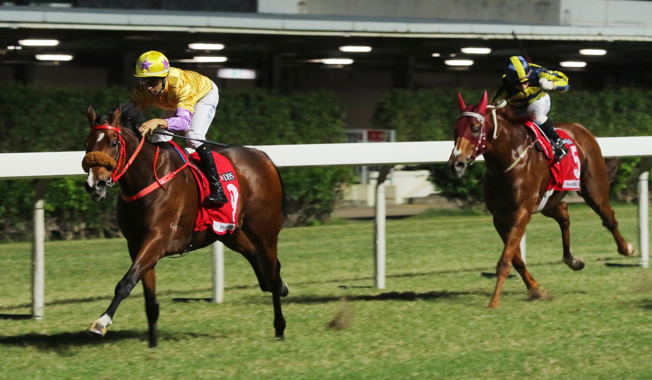 Playa Del Puente coasts to victory at Happy Valley in October.