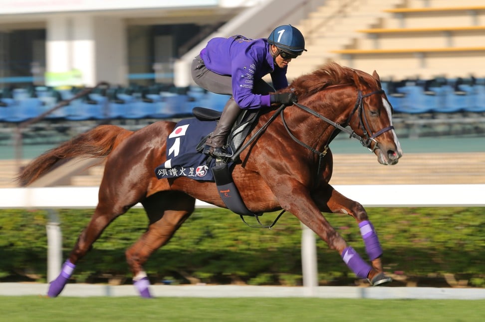 Admire Mars works at Sha Tin this week.