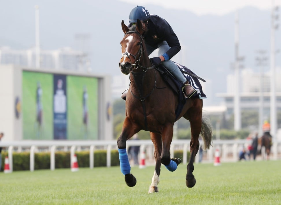 Zaaki gallops at Sha Tin on Friday.