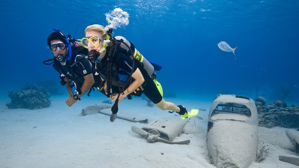 Underwater diving is a social activity that relies on a “buddy system” of diving in pairs. Photo: Padi