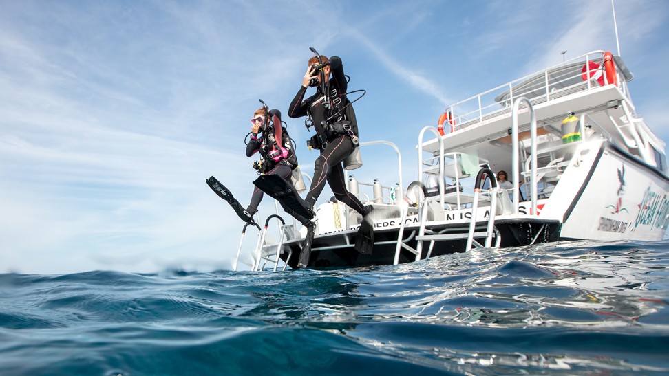 Recreational diving may be more effective at reducing stress and boosting mental well-being than other sports. Photo: Padi