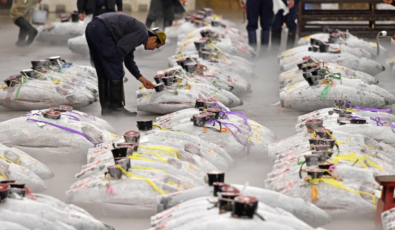 Tuna at the famous Tsukiji fish market in Tokyo, now closed. The quality of fresh Hong Kong seafood is on a par with that found in Japanese markets, chef Mitsuhiro Araki says. Photo: Kyodo