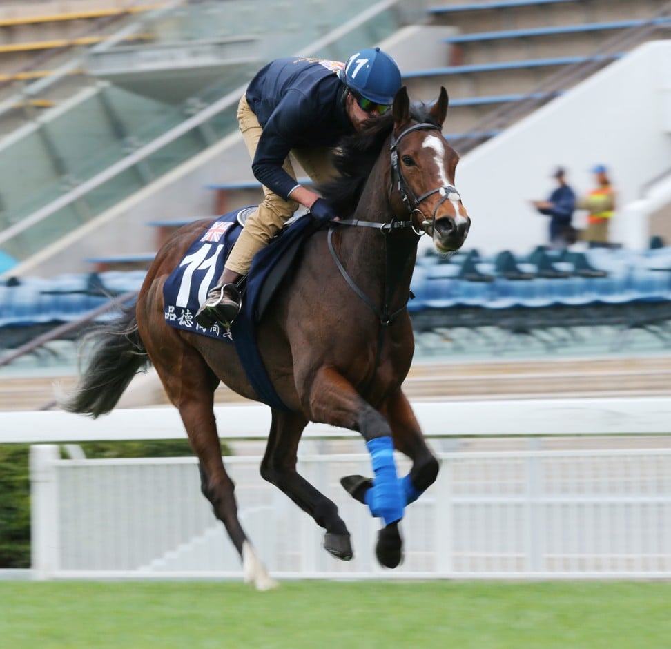 Zaaki gallops at Sha Tin this week.