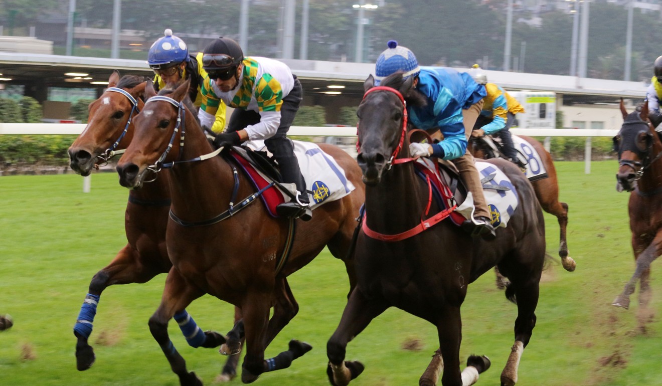 Utopia Life (centre) trials under jockey Silvestre de Sousa at Happy Valley.