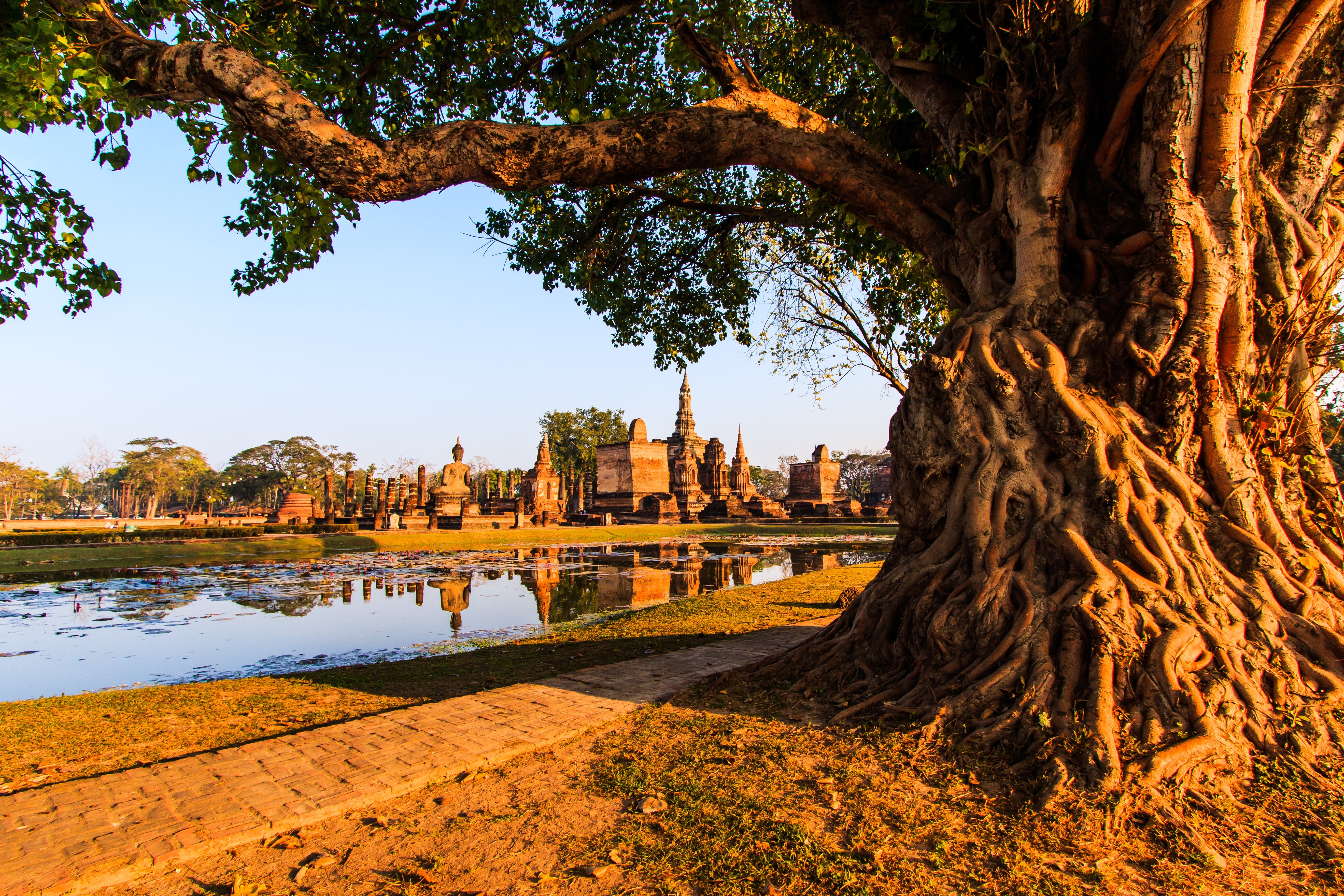 Wat Mahathat, in Sukhothai Historical Park, in Thailand. Photo: Shutterstock