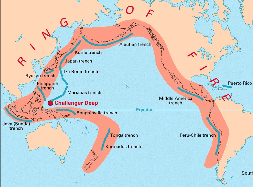 Flipboard Fossil Find Shows The Enigmatic Sailing Stones Existed 