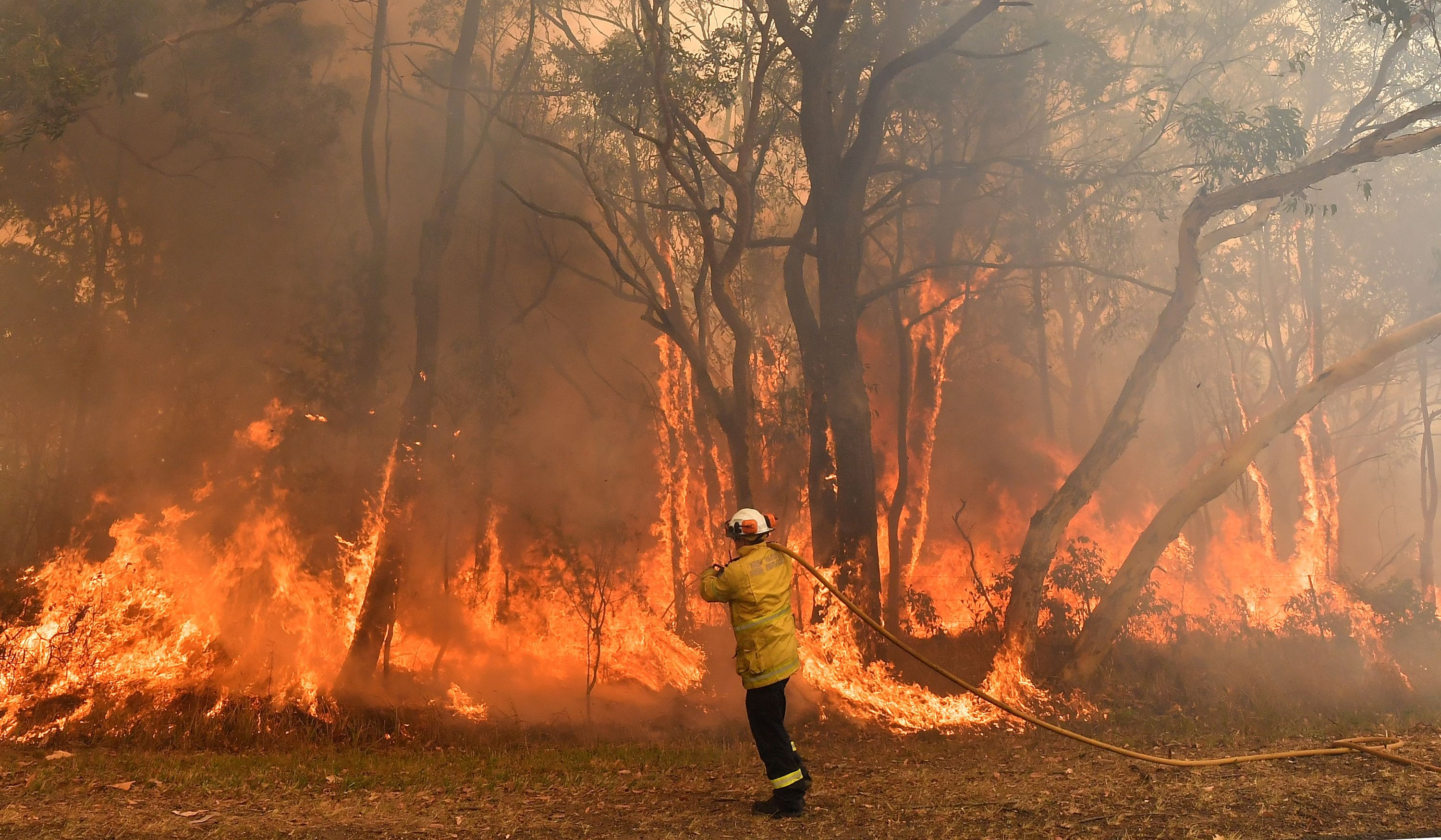 Toxic haze has blanketed Sydney as severe weather conditions fuel deadly bush fires along Australia’s east coast. Photo: AFP
