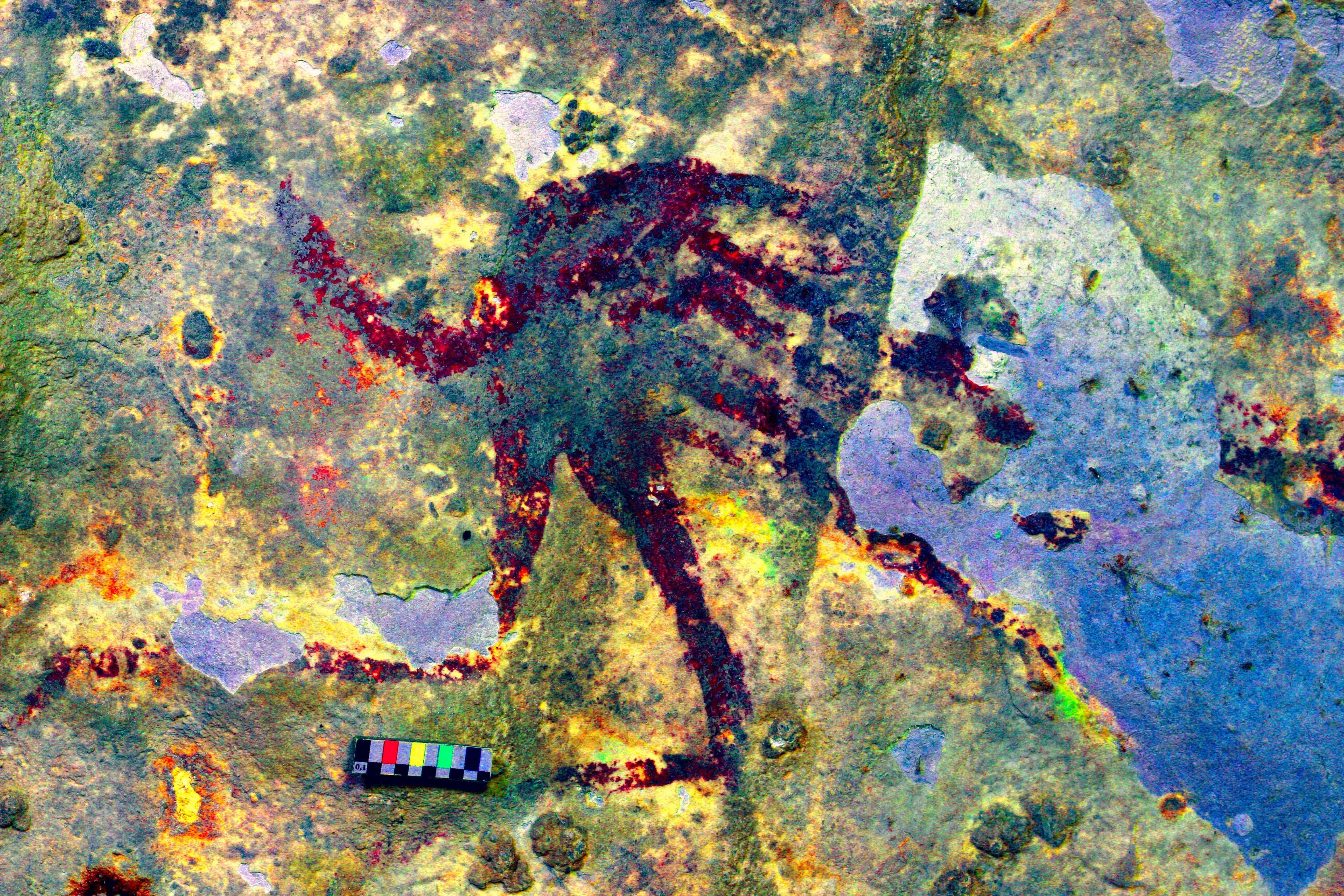 The Oldest Story Ever Told A Painting Of Pigs On A Cave Wall In
