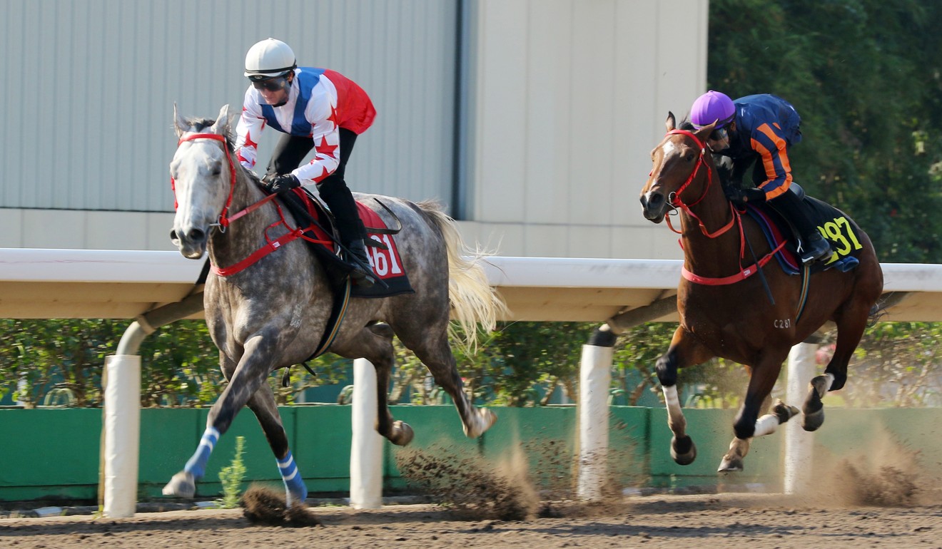 Big Party wins a trial at Sha Tin last month.