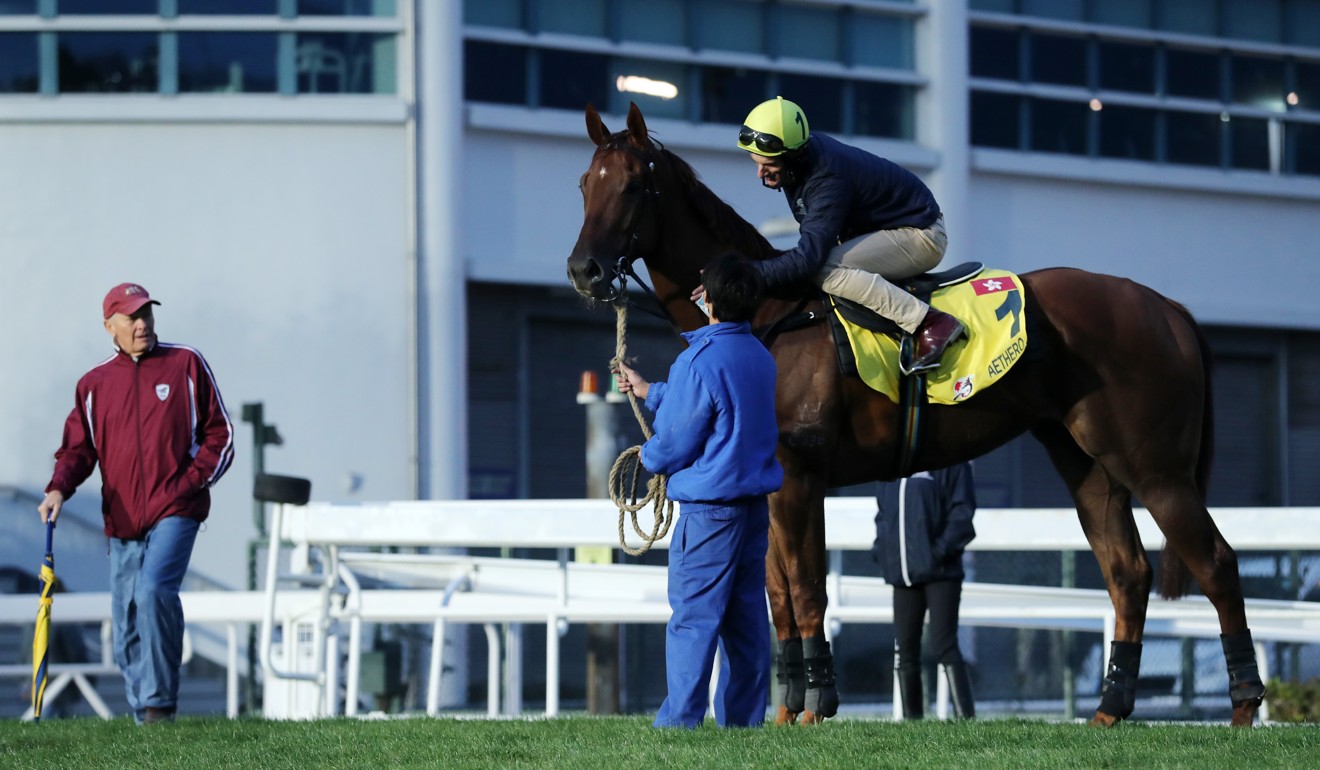 John Moore looks over Aethero at Sha Tin.