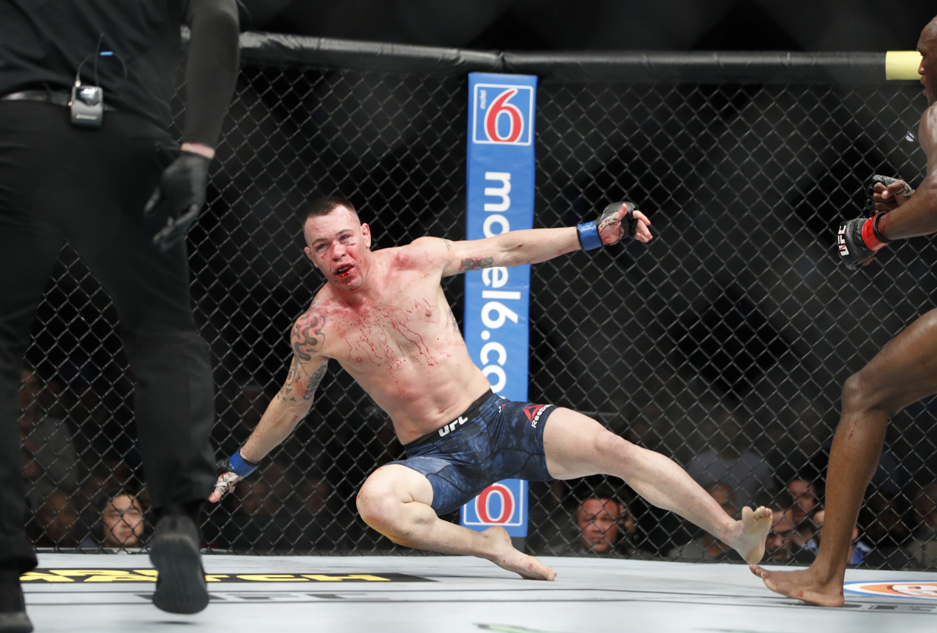 Colby Covington is knocked to the mat by Kamaru Usman at UFC 245. Photo: AP