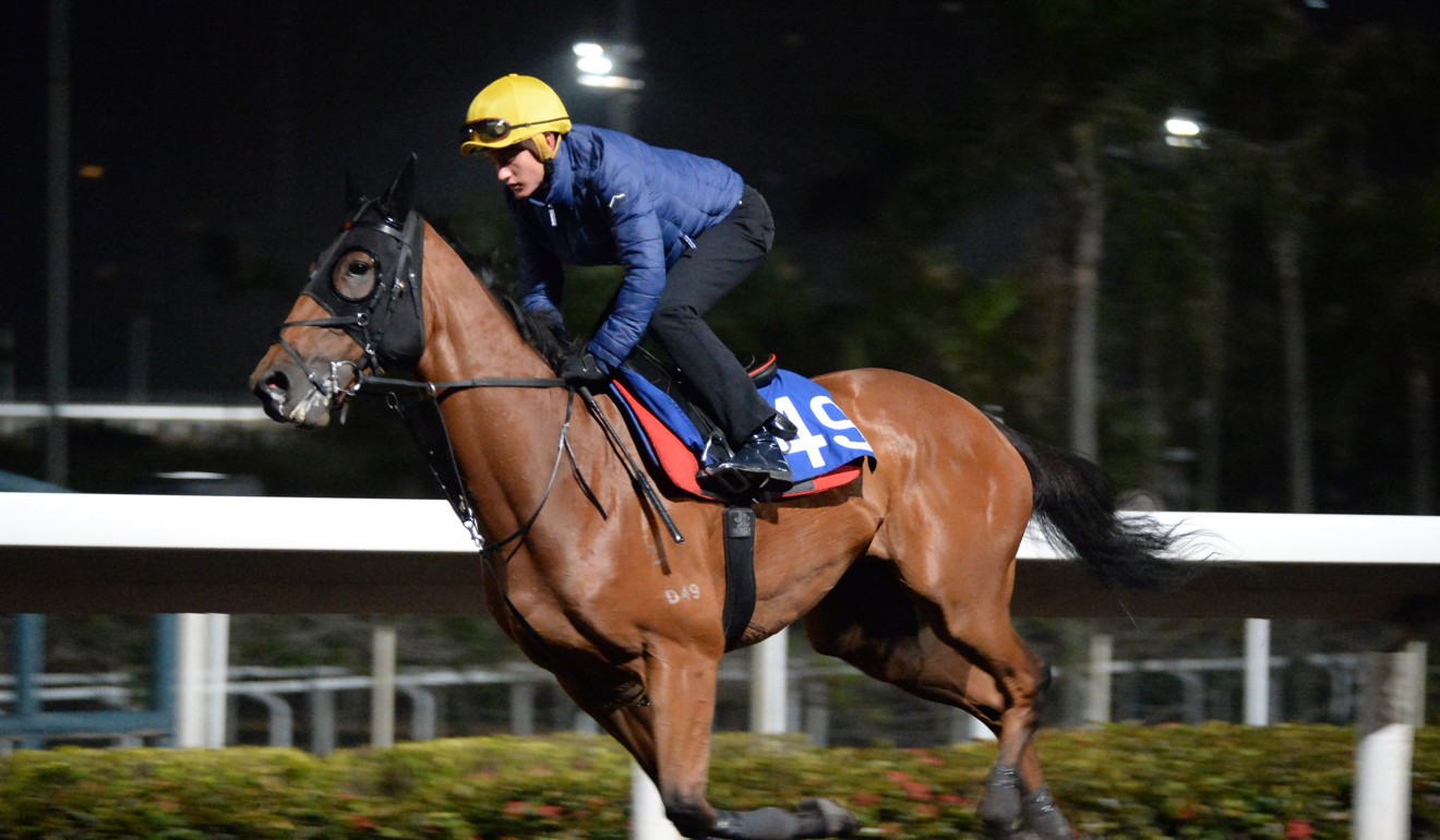 Xponential gallops on the all-weather surface at Sha Tin on Thursday morning.