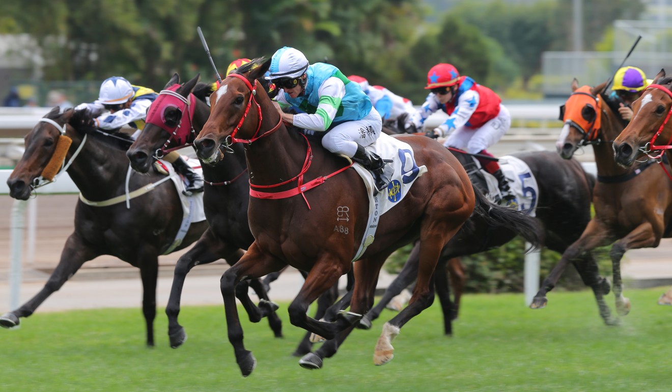 Sam's Love strides out to win at Sha Tin on Saturday.