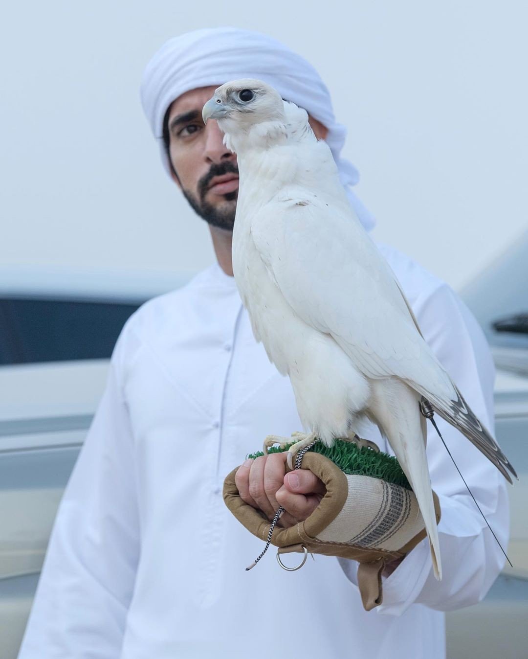 Falconry is a traditional pastime in the UAE, where Sheikh Hamdan bin Mohammed Rashid Al Maktoum is Crown Prince. Photo: Instagram