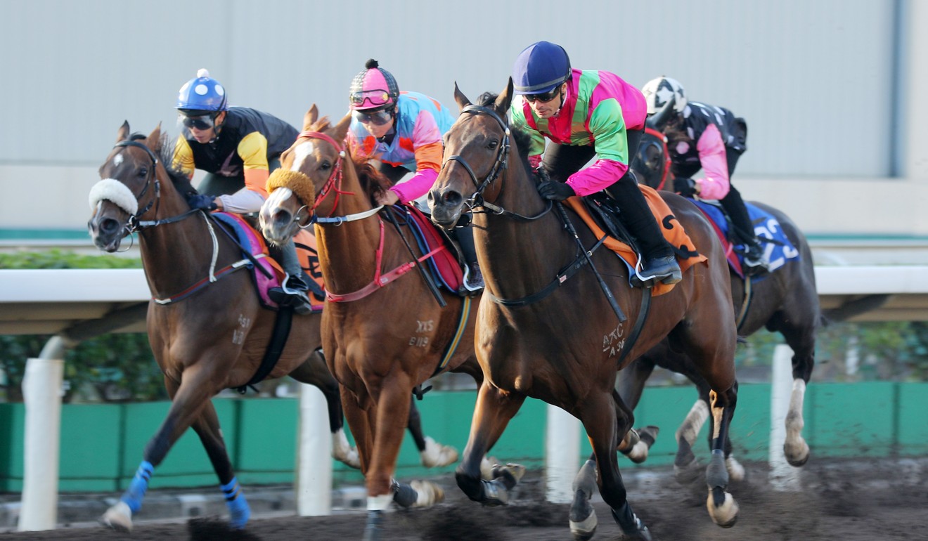 Elusive State (outside) trials under Silvestre de Sousa.