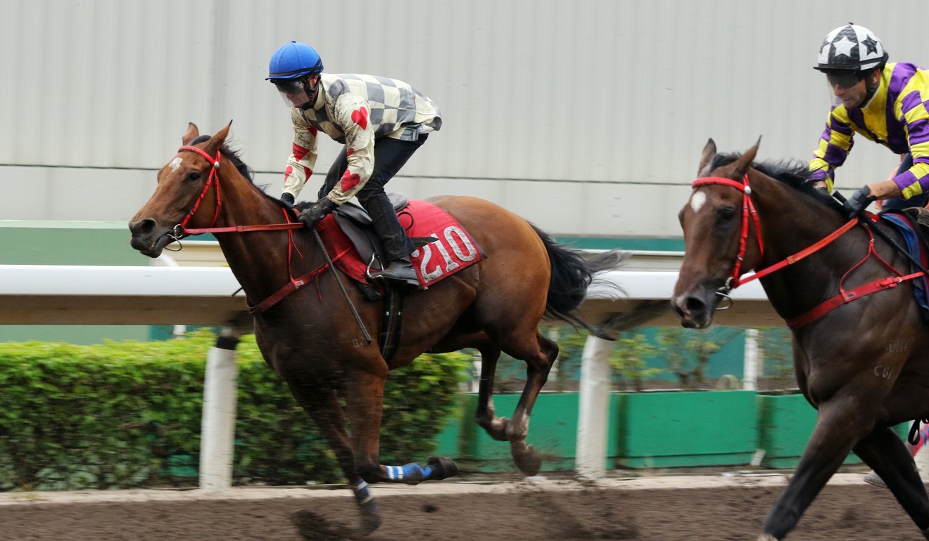 Glorious Artist trials at Sha Tin.