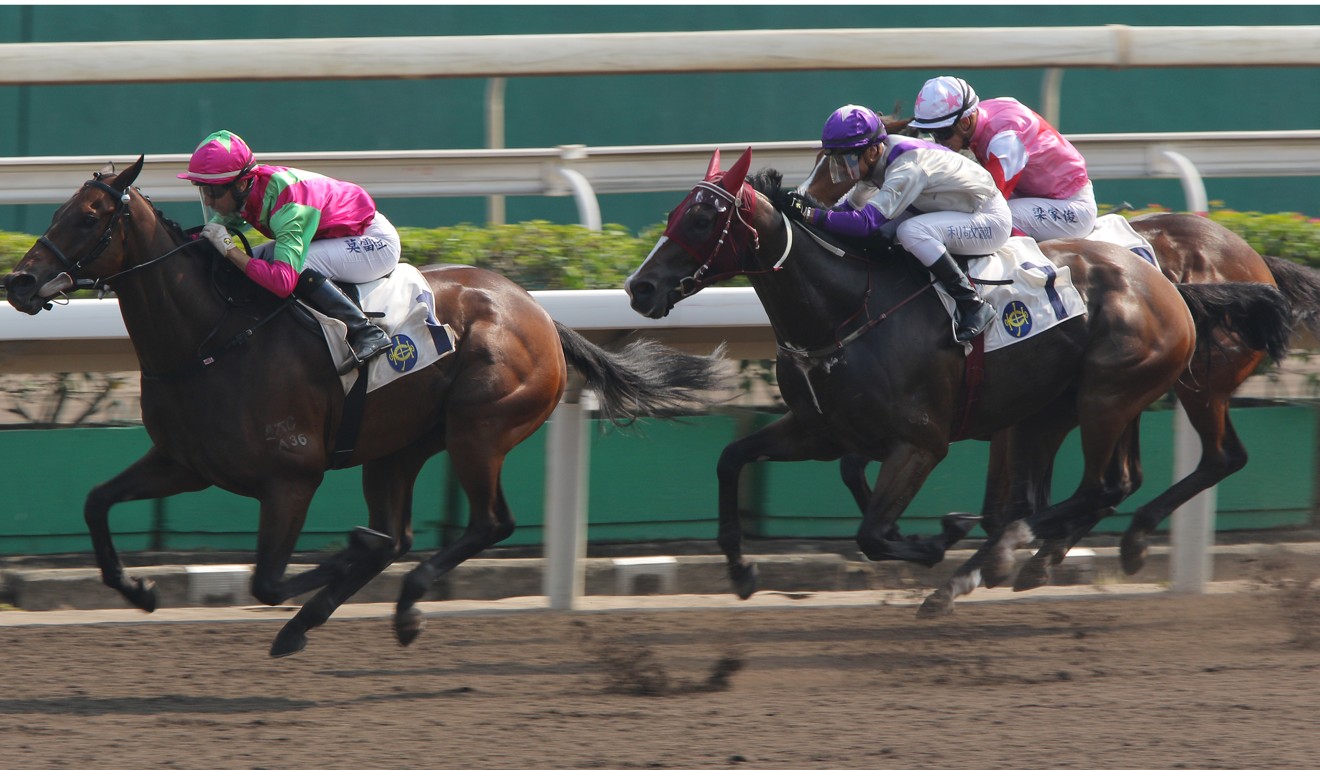 Buddies (right) runs second to Elusive State in October.