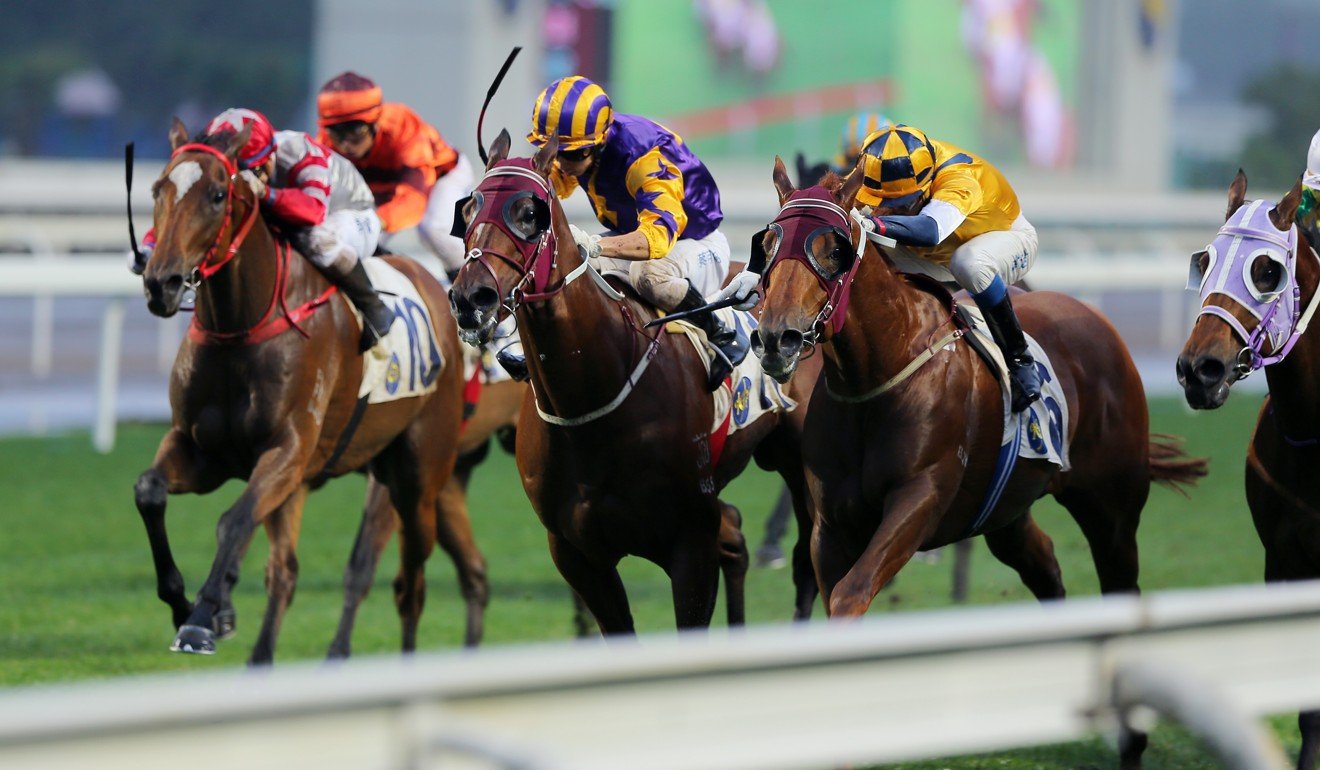 Styling City (outside) sneaks past his rivals to win at Sha Tin last season.