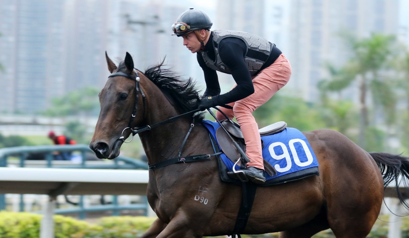 Tony Piccone ridding Colonel on the all-weather track at Sha Tin.