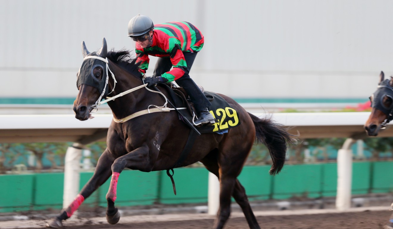 Zac Purton trials Star Performance on the Sha Tin all-weather track.