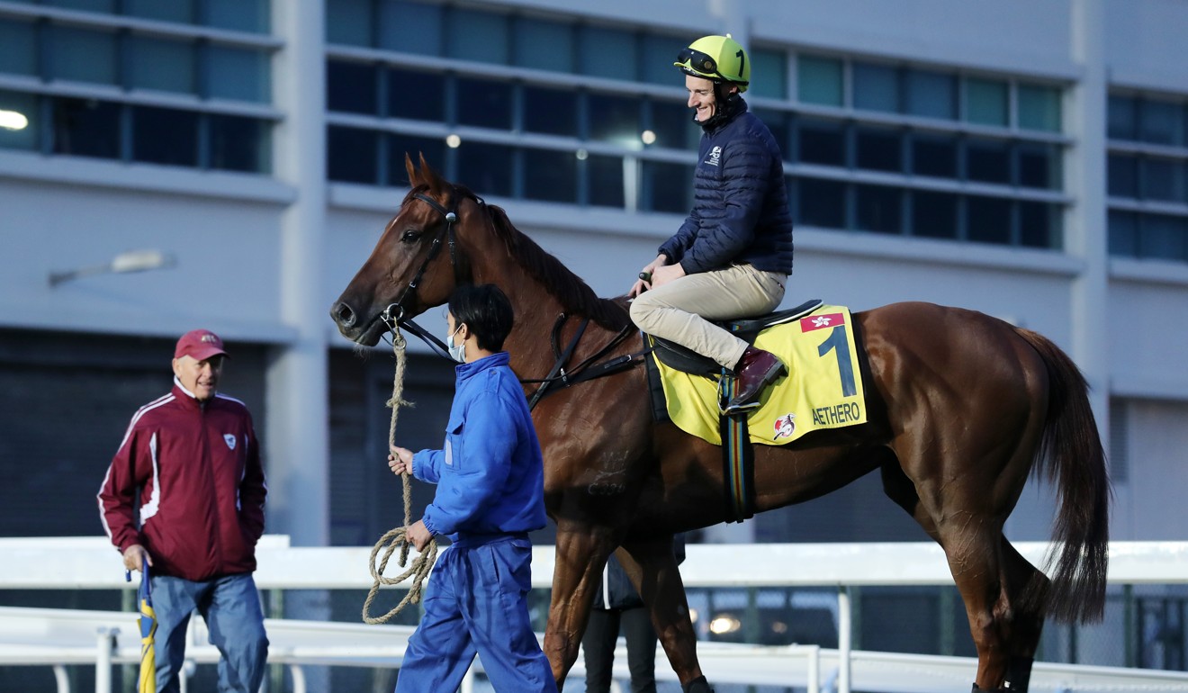 John Moore looks over Aethero at Sha Tin.