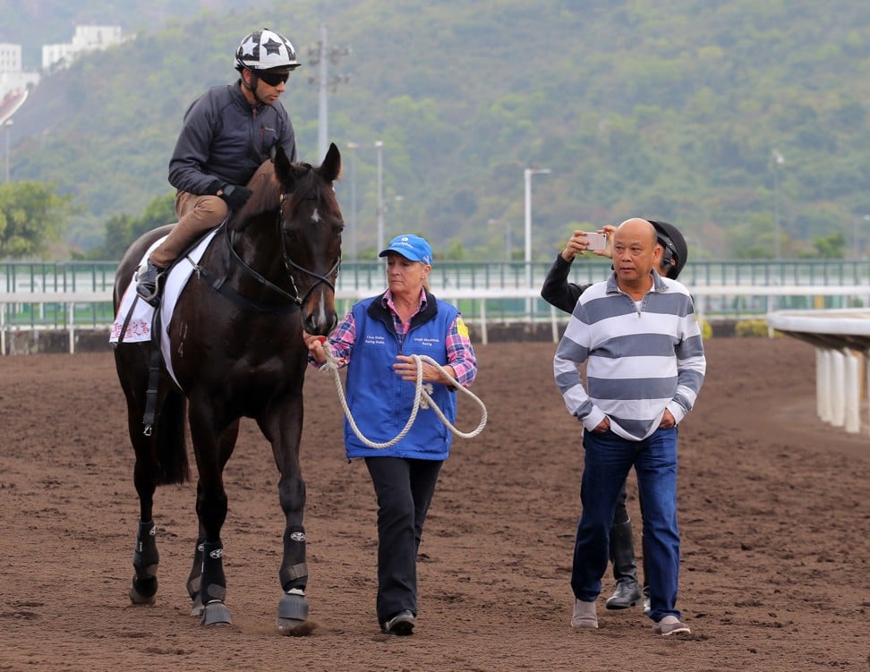 Trainer Joe Lau (right) walks back with Sacred Capital after the horse galloped under Joao Moreira on Sunday.